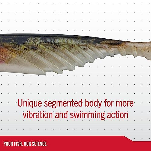 Berkley PowerBait Ripple Shad Fishing Soft Bait - color: HD Purple Smelt, size: 4"