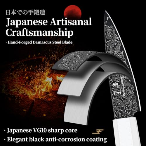 DRGSKL Damascus Fruit Knife 3.5 inch - VG10 Paring Knife for Precision Cutting - Small Kitchen Knives with Japanese G10 Handle - In Gift Box - size: 3.6 inch