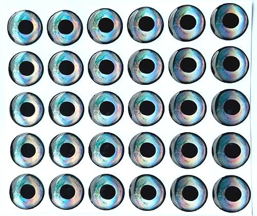 Brule 3-D Holographic Epoxy Fish Eyes (5mm-20mm) 60 Pack, Handpoured, Fishing Fly Tying Lures DIY Crafts - color: Sleet, size: 6mm
