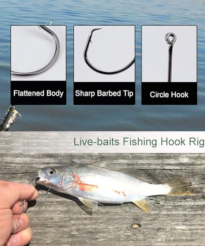 Fishing Circle Hooks Saltwater 50pcs Leader Hook Rigs for Catfish Bass With Offset Hooks - size: 10/0, 50 Pack