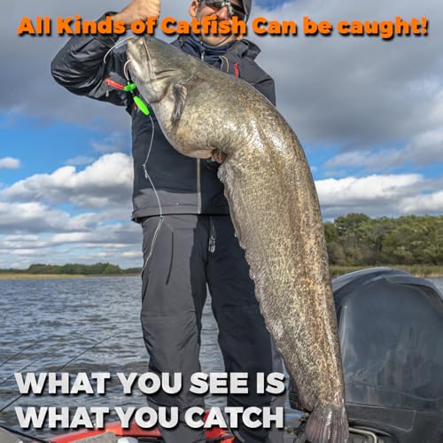 Catfish Rigs Catfish Float Rigs Catfishing Tackle Santee Rig 5/0 6/0 Circle Hooks for Peg Floats Catfish - size: 5/0 HOOK * 3PCS