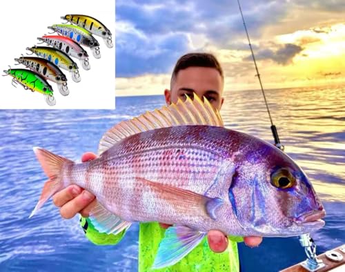 6Pcs Mini Minnow Fishing Lures Crankbaits Set, Fishing Hard Baits Hooks,Sinking Minnow Lures for Freshwater Saltwater Trout Bass Perch Fishing Lures