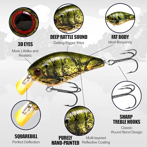 LUCKY CRAFT 1.5DRS Deep Rattle Sound Crankbait Fishing Lures, Shallow Diving Trout and Bass Lures, 3-4ft Depth, Square Bill Crankbait, Saltwater Fishing Gear and Accessories - color: 137 TO Craw
