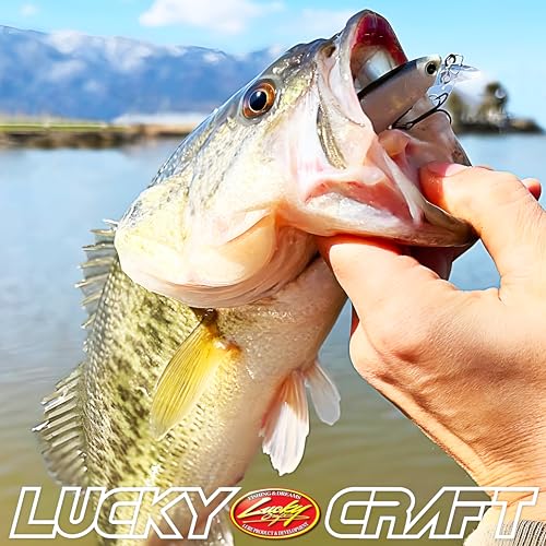 LUCKY CRAFT Pond Bass Premium Box, 7 Freshwater Fishing Lures for Pond and Lake Fish, Mystery Selection Tackle Box with Surprise Bass Lures, Fishing Gear Accessories - style: Pond Bass Fishing