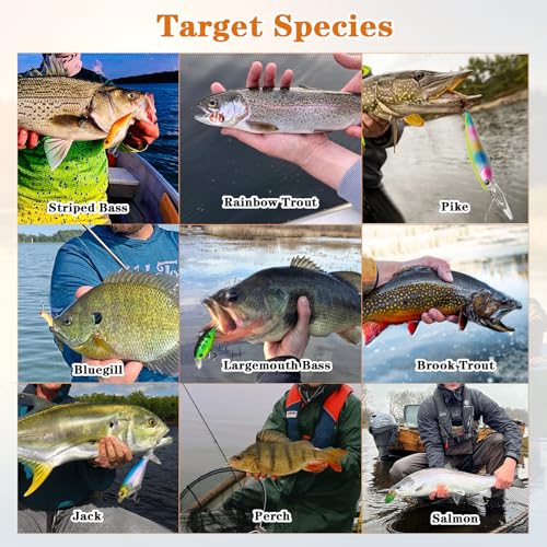 FONMANG 322-Piece Fishing Lures Kit - Buzz Bait/Spinner Baits/Jig/Frog, Fishing Tackle Box with Tackle Included, Soft Bait/Hooks/Weights, Fishing Gear Lure Kit Gift for Men Freshwater Bass Trout - color: B-153pcs Freshwater Fishing Kit
