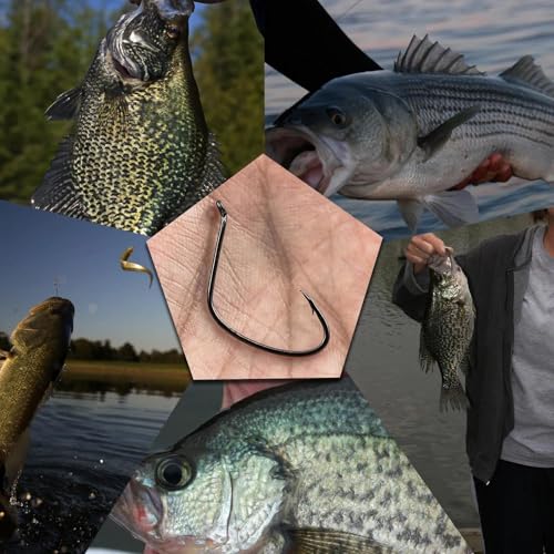 Kahle Hooks for Surf Fishing, FishTrip 50pcs Pompano Rig Hook Wide Gap Circle Hooks 7 Sizes - size: G_50pcs