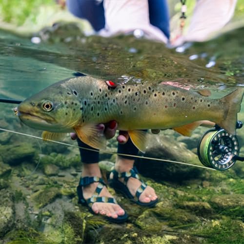 RIO Products Mainstream Trout DT Fly Line - Developed for the Average Fly Fishermen - Easy Casting and Smooth Design - Floating Freshwater Line - size: 5 Weight