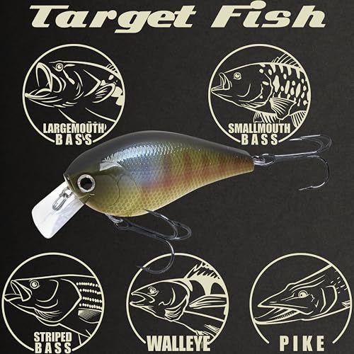 LUCKY CRAFT LC 2.5 Silent Crankbait Fishing Lures, 2-3/8” Squarebill Crankbait, Bass Lures, Floating 4ft Depth Hard Bait, Champion Freshwater Fishing Gear and Tackle Box Accessories - color: 269 BE Gill
