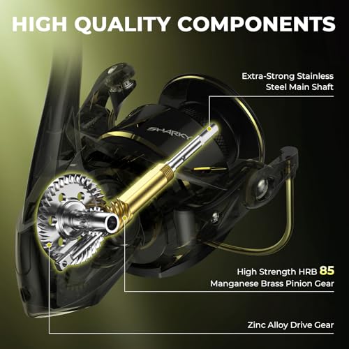 KastKing Sharky Spinning Reel – 5.2:1 & 6.2:1 Gear Ratios, Carbon Fiber Drag 33–39.5LB, 10+1 Stainless Bearings, Lightweight Nylitech Body, Oversize Shaft, for Saltwater & Freshwater - color: 6.2:1-Sharky X, size: 4000