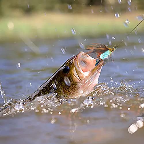 Fly Fishing Kit with Tackle Dry/Wet Fly Handcrafted Lures, Streamer for Trout, Bass, Salmon - color: 12pcs