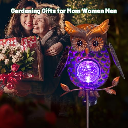 HONGLAND Solar Lights Outdoor Decor Waterproof, Solar Owl Garden Decorative Stake, Whimsical Gardening Gifts for Women Mom, Owl Outdoor Lights for Yard Patio Lawn Decor - color: Bronze Owl