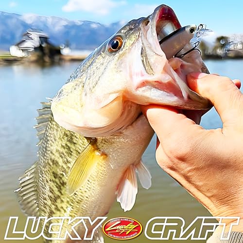 LUCKY CRAFT Pointer 78SP Fishing Lures, 3” Jerkbait Freshwater Bass & Trout Lures, Suspending 4ft–5ft Depth, Jerkbait with Walk-the-Dog Action, Precision Bass Fishing Gear and Accessories - color: 254 MS MJ Herring, size: PT65