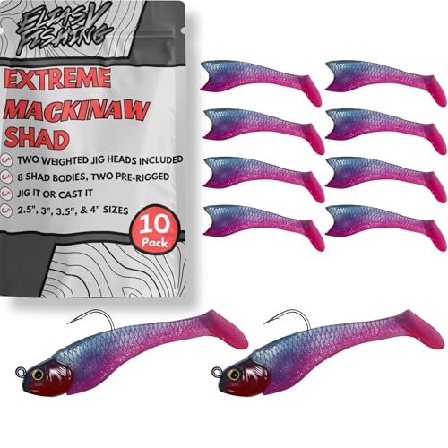 Mackinaw Shad Pre Rigged Swimbait, Paddle Tail Swim Baits, Ready to Fish Soft Plastic Swimbaits, Swim Baits for Bass Fishing, Saltwater Fishing Lures and Freshwater Fishing Lures - color: Pink & Blue