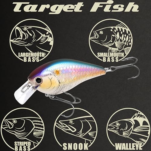 LUCKY CRAFT LC 1.5 Silent Squarebill Crankbait Fishing Lure, 2-3/8", Bass Fishing Lures for Freshwater, Hard Crankbait with Treble Fishing Hooks, Fishing Accessories - color: 270 MS American Shad