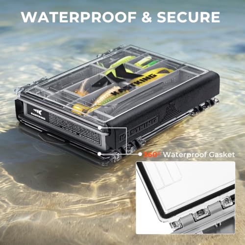 KastKing HyperSeal 3500 Double-Sided Waterproof Fishing Tackle Box – Adjustable Dividers, EVA Foam Jig Storage, Lure & Terminal Tackle Organizer,2 Pack,Black - color: Black, size: 3500(2 Pack)