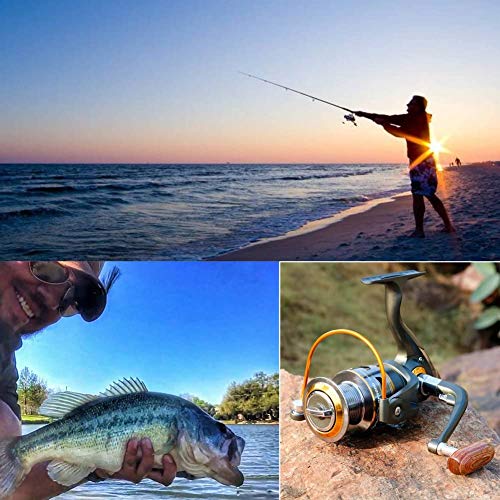 Sougayilang Spinning Fishing Reels with Left/Right Interchangeable Collapsible Wood Handle Powerful Metal Body 5.2:1/5.1:1 Gear Ratio Smooth 11BB for Inshore Boat Rock Freshwater Saltwater Fishing - size: DK2000