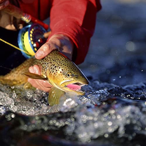 75pcs Crappie Lures Kit - Soft Plastic Coloured Crappie & Panfish Shad Baits - style: D-75pcs