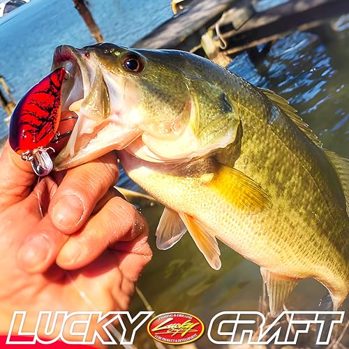 LUCKY CRAFT LC 1.5SSR, Wobbling Freshwater Lake Bass Fishing Bait - color: 137 TO Craw
