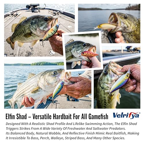 Flat Sided Japanese-Style Crankbait Elfin Shad – Medium Diving Bass Fishing Lure, Hard Bait Shad Crankbait for Freshwater Velrifya - color: 02-Toxic Gill