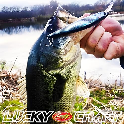 LUCKY CRAFT Slender Pointer 112 MR Fishing Lure, 4.5" Suspending Jerkbait, 4-5 ft Depth, Long Casting, Freshwater Trout and Bass Lures, Bass Fishing Gear and Tournament Hard Bait - color: 772 Zebra MS Ghost Minnow