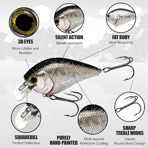 LUCKY CRAFT Fat CB BDS2 Fishing Lure, 2.5" Floating Squarebill Crankbait, 2–3 ft Depth, Freshwater Trout and Bass Lures, Bass Fishing Gear and Tournament Hard Bait - color: 304 Cow Boy Gill