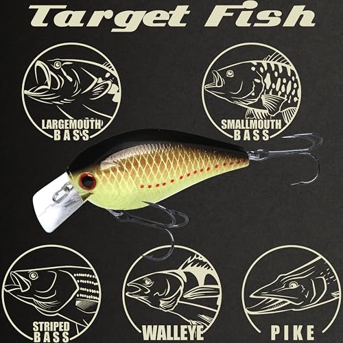 LUCKY CRAFT LC 2.5 Silent Crankbait Fishing Lures, 2-3/8” Squarebill Crankbait, Bass Lures, Floating 4ft Depth Hard Bait, Champion Freshwater Fishing Gear and Tackle Box Accessories - color: 403 Copper Perch