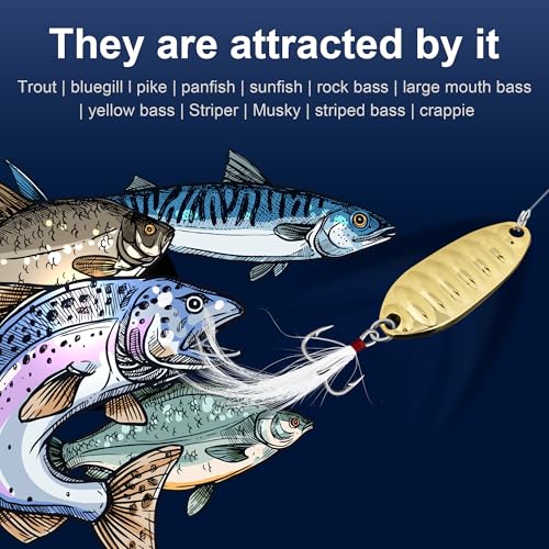 8Pcs Fishing Spoons with Rooster Tail Treble Hooks, Spinner Bait Kit for Bass Salmon Trout 3/16oz 3/8oz 1/2oz 3/4oz