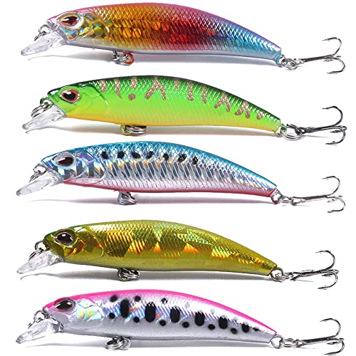 Jerkbait Fishing Lures Jerk Baits for Bass Fishing Jerk Bait Minnow Lures with Tackle Box for Freshwater Saltwater,10pcs - color: C-2.4in/0.16oz-10pcs