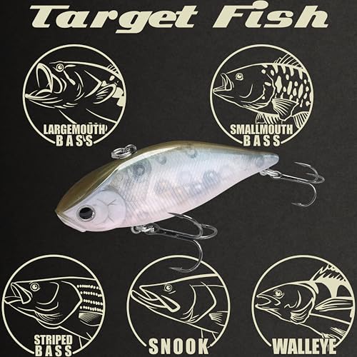 LUCKY CRAFT LV 500 MAX Freshwater Fishing Lures, Sinking Lipless and Long-Casting Crankbait, 3 Inch Vibration Rattle Bait, Perfect Fishing Gear for Tackle Box and Accessories - color: 291 Aurora Ghost Wakasagi