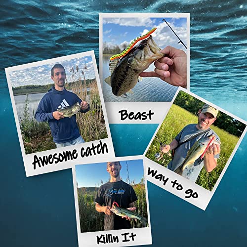DeLong Lures – Made in USA 6" Bass Fishing Worms, Pre-Rigged Weedless & Unrigged Soft Plastic Baits, Anise-Scented Durable Lures for Freshwater & Saltwater - color: Variety 5 Pack