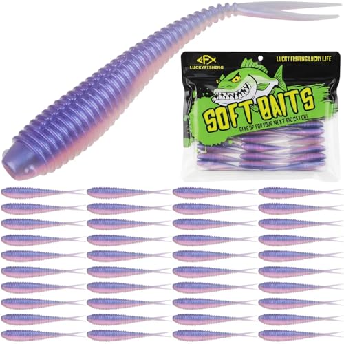 LUCKYFISHING Soft Plastic Baits 20PCS/30PCS/40PCS Forked Tail Fishing Soft Bait for Bass Walleye Trout Crappie Lures 3in/3.5in/4in - color: Morning Dawn, size: 3in-40pcs