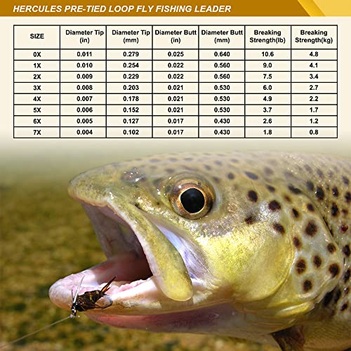 HERCULES Pre-Tied Loop Fly Fishing Leader 6 Pack with Tapered Leader Wallet - size: 7.5FT - 6pcs