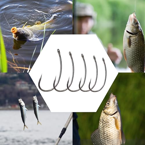 Shaddock Fishing Barbless Carp Fishing Hooks, Circle Curve Shank Crank Fly Tying Hooks High Carbon Steel for Hair Bait Rigs Freshwater Saltwater - size: 6#, style: 60pcs