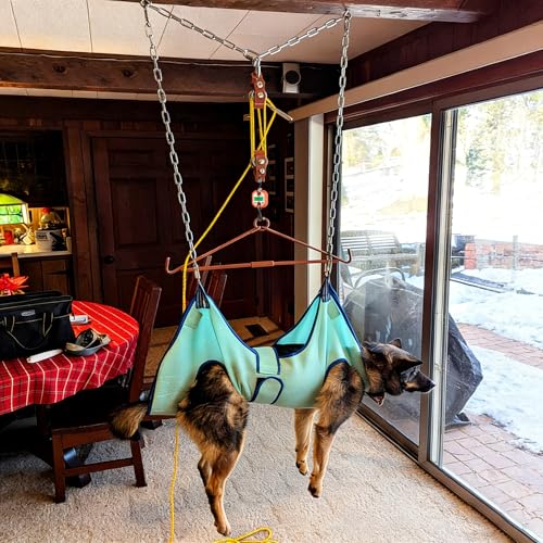 Digital Hanging Scales 300 lb 150 kg Mini Crane Scale Portable Heavy Duty Scales 2 AAA Batteries(Not Included) (Orange) - color: Orange