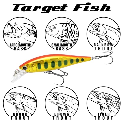 LUCKY CRAFT Pointer 78SP Fishing Lures, 3” Jerkbait Freshwater Bass & Trout Lures, Suspending 4ft–5ft Depth, Jerkbait with Walk-the-Dog Action, Precision Bass Fishing Gear and Accessories - color: 276 Laser Rainbow Trout, size: PT65