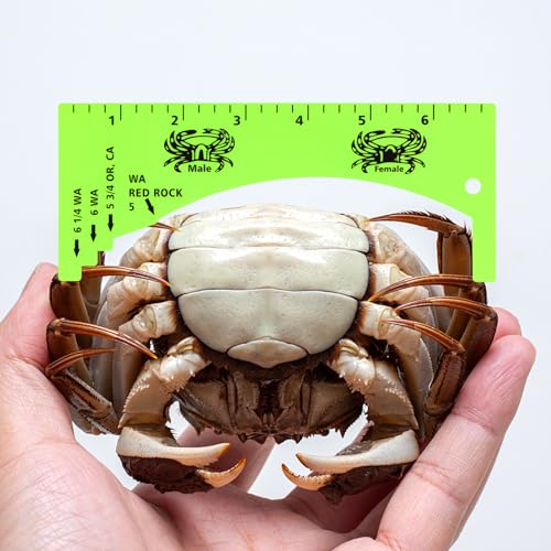 Lakei Crab Gauge, Measure for Dungeness, Blue Crab, Rock Crab, Lobste