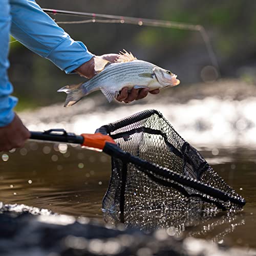 KastKing Pontus Fishing Net, Foldable & Lightweight Landing Net with Built in Length Scale, Strength Aluminum Handle, Fishing Gear and Gift for Men - style: Hoop Size: 23"(extendable)