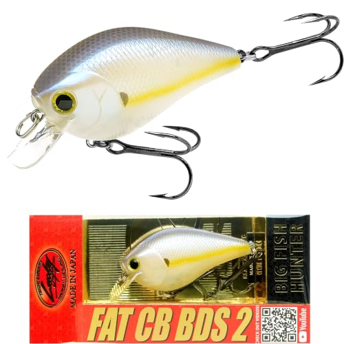 LUCKY CRAFT Fat CB BDS2 Fishing Lure, 2.5" Floating Squarebill Crankbait, 2–3 ft Depth, Freshwater Trout and Bass Lures, Bass Fishing Gear and Tournament Hard Bait - color: 250 Chartreuse Shad