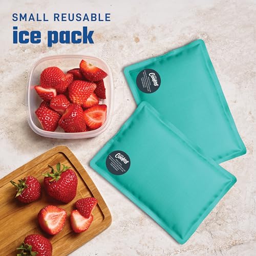 Fit & Fresh Cool Coolers 2 Pack Soft Ice for Lunch Bags, Flexible Stretch Nylon, Durable, Reusable Lunch Box Ice Packs, Soft Ice, Reusable Freezer Packs, Lunch Ice, Easy to Clean, Teal - color: Teal (2 Pack), size: Standard