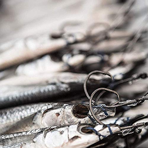 Tuna Circle Hooks Stainless Steel Big Game Saltwater Hook 30Pcs Extra Strong Short Shank Circle Hook 8/0-20/0 - size: 18/0#(30pcs per pack)