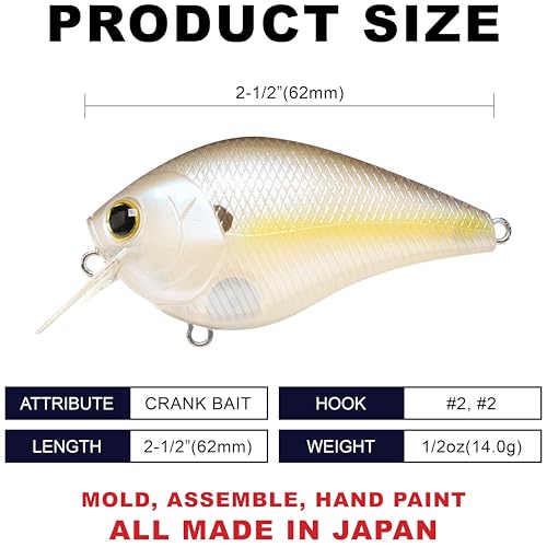 LUCKY CRAFT Fat CB BDS2 Fishing Lure, 2.5" Floating Squarebill Crankbait, 2–3 ft Depth, Freshwater Trout and Bass Lures, Bass Fishing Gear and Tournament Hard Bait - color: 250 Chartreuse Shad