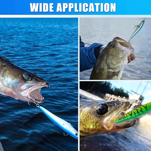 Hard Fishing Lures Bait Minnow Lures Bass CrankBait Jerkbait Set Life-Like Swimbait Deep Diving Sinking Lures with Treble Hook for Bass Trout Walleye Redfish - style: Type A-10pcs