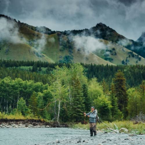RIO Products Mainstream Trout Fly Line, Full Sinking Fly Line, Easy Casting - color: Brown, size: 8 Weight