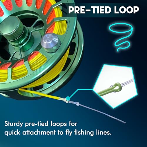 Riverruns Fly Fishing Tapered Leader with Pre-Tied Loop, Clear Nylon Fly Line, 6 Pack, 7.5FT 9FT 12FT 1X 2X 3X 4X 5X 6X 7X for Freshwater Saltwater