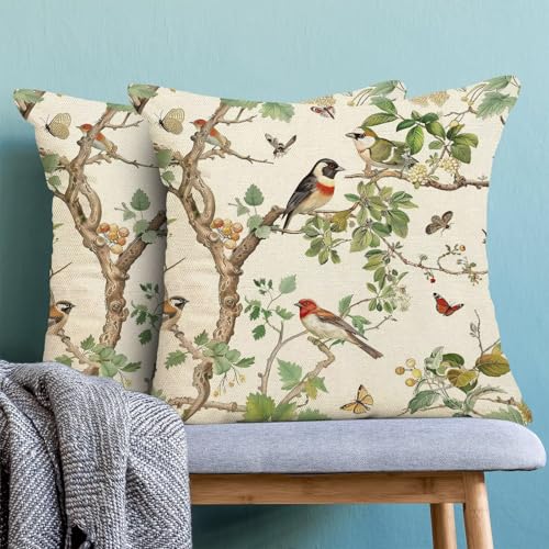 Chinoiserie Pillow Covers 16 x 16 Set of 2, Spring Bird Butterfly Throw Pillow Covers Farmhouse Pillowcase Home Decor for Couch Sofa Outdoor - color: Chinoiserie-c, size: 16" x 16" (Pack of 1)
