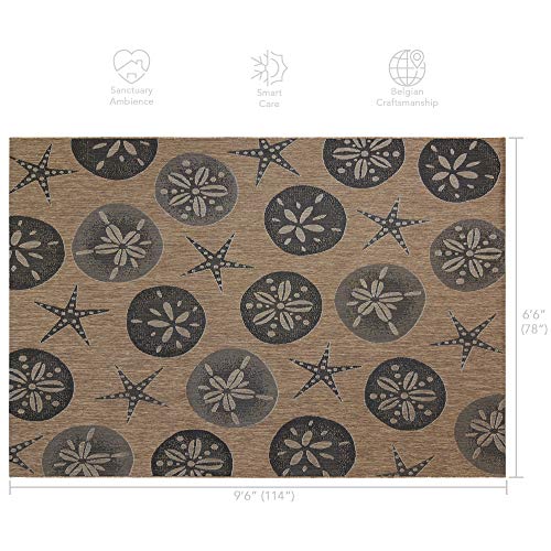 Gertmenian Indoor/Outdoor Flatweave Area Rug - 6x9 Medium, Stain & UV Resistant, Ideal for Deck, Patio, Poolside, Mudroom - Sand Dollar Starfish, Nut Brown Black, 22219 - color: Sand Dollar Starfish Nut Brown Black, size: 6'6" x 9'6" (Rectangular)