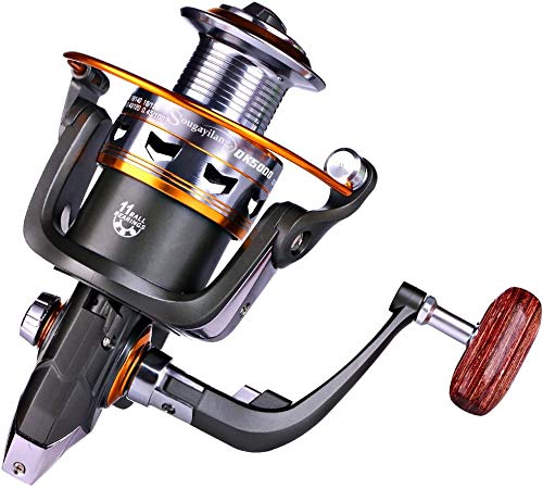 Sougayilang Spinning Fishing Reels with Left/Right Interchangeable Collapsible Wood Handle Powerful Metal Body 5.2:1/5.1:1 Gear Ratio Smooth 11BB for Inshore Boat Rock Freshwater Saltwater Fishing - size: DK2000