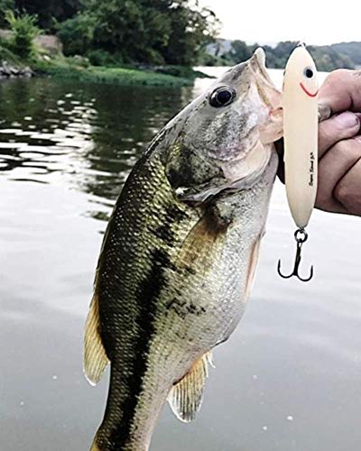 Heddon Heddon Super Spook Jr. - color: Chrome/Pink