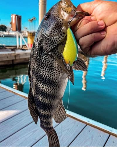 Bandit Lures BDT - color: Rootbeer