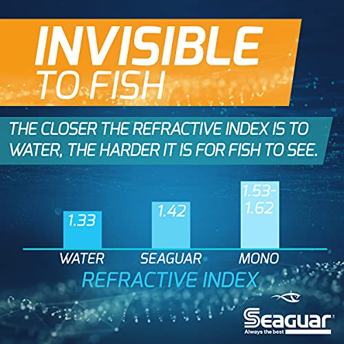 Seaguar InvizX Multi-Species Fishing Line for Casting, Live Bait, Freshwater, 100% Fluorocarbon, Clear, Multiple Sizes - size: 17lbs/1000yds